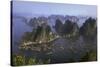 Ha Long Bay Vietnam viewed from above-Charles Bowman-Stretched Canvas