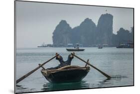 Ha Long Bay, Vietnam-Art Wolfe-Mounted Photographic Print