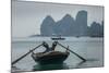 Ha Long Bay, Vietnam-Art Wolfe-Mounted Photographic Print