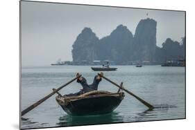 Ha Long Bay, Vietnam-Art Wolfe-Mounted Photographic Print