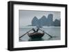 Ha Long Bay, Vietnam-Art Wolfe-Framed Photographic Print