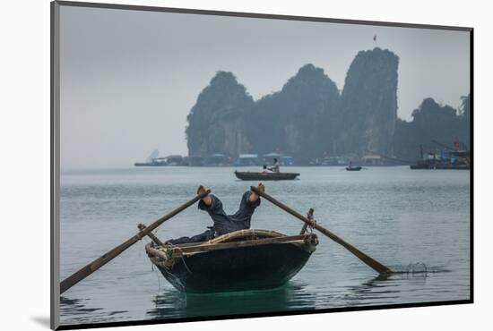 Ha Long Bay, Vietnam-Art Wolfe-Mounted Photographic Print