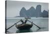 Ha Long Bay, Vietnam-Art Wolfe-Stretched Canvas