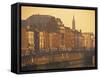 Ha' Penny Bridge, Dublin, Ireland-Jon Arnold-Framed Stretched Canvas