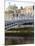 Ha' Penny Bridge on the Liffey River, Dublin, Republic of Ireland, Europe-Oliviero Olivieri-Mounted Photographic Print