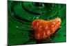 Habanero Pepper FreshSplash 2-Steve Gadomski-Mounted Photographic Print