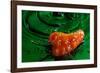 Habanero Pepper FreshSplash 2-Steve Gadomski-Framed Photographic Print