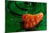 Habanero Pepper FreshSplash 2-Steve Gadomski-Mounted Photographic Print