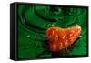 Habanero Pepper FreshSplash 2-Steve Gadomski-Framed Stretched Canvas