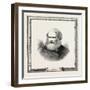 Hablot Knight Browne 12 July 1815 - 8 July 1882 Was an English Artist-null-Framed Giclee Print