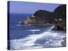 Haceta Head Lighthouse, Pacific Coast, Oregon, USA-Charles Gurche-Stretched Canvas