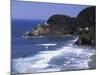 Haceta Head Lighthouse, Pacific Coast, Oregon, USA-Charles Gurche-Mounted Photographic Print