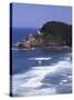 Haceta Head Lighthouse, Pacific Coast, Oregon, USA-Charles Gurche-Stretched Canvas