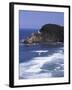 Haceta Head Lighthouse, Pacific Coast, Oregon, USA-Charles Gurche-Framed Premium Photographic Print