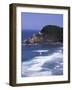 Haceta Head Lighthouse, Pacific Coast, Oregon, USA-Charles Gurche-Framed Photographic Print