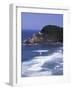 Haceta Head Lighthouse, Pacific Coast, Oregon, USA-Charles Gurche-Framed Photographic Print