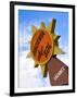 Hacienda Del Sol Motel Sign, Borrego Springs, California, USA-Nancy & Steve Ross-Framed Photographic Print