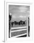 'Hackney' Horse Show-null-Framed Photographic Print