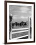 'Hackney' Horse Show-null-Framed Photographic Print