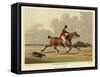 Hackney-Henry Thomas Alken-Framed Stretched Canvas