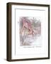 Had an Adventure-Anne Anderson-Framed Giclee Print