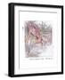 Had an Adventure-Anne Anderson-Framed Giclee Print