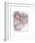 Had an Adventure-Anne Anderson-Framed Giclee Print
