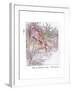 Had an Adventure-Anne Anderson-Framed Giclee Print