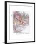 Had an Adventure-Anne Anderson-Framed Giclee Print