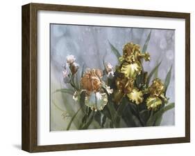 Hadfield Irises I-Clif Hadfield-Framed Art Print
