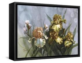 Hadfield Irises I-Clif Hadfield-Framed Stretched Canvas