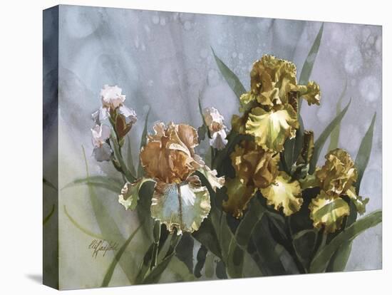 Hadfield Irises I-Clif Hadfield-Stretched Canvas