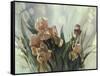 Hadfield Irises II-Clif Hadfield-Framed Stretched Canvas