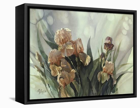 Hadfield Irises II-Clif Hadfield-Framed Stretched Canvas