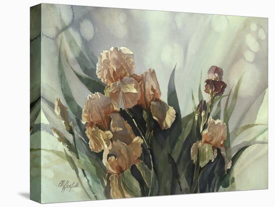 Hadfield Irises II-Clif Hadfield-Stretched Canvas