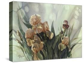 Hadfield Irises II-Clif Hadfield-Stretched Canvas