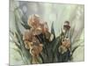 Hadfield Irises II-Clif Hadfield-Mounted Art Print