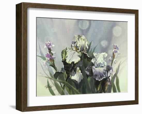 Hadfield Irises III-Clif Hadfield-Framed Art Print