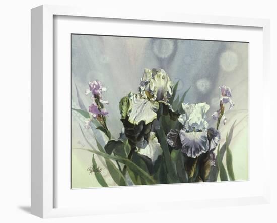 Hadfield Irises III-Clif Hadfield-Framed Art Print
