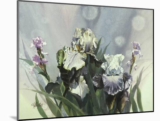 Hadfield Irises III-Clif Hadfield-Mounted Art Print