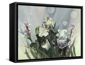 Hadfield Irises III-Clif Hadfield-Framed Stretched Canvas