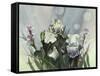 Hadfield Irises III-Clif Hadfield-Framed Stretched Canvas