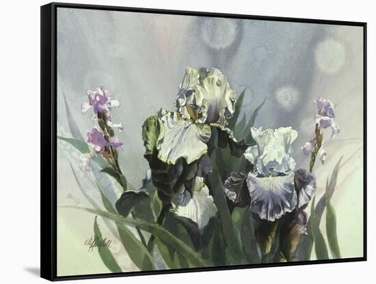 Hadfield Irises III-Clif Hadfield-Framed Stretched Canvas