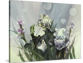 Hadfield Irises III-Clif Hadfield-Stretched Canvas