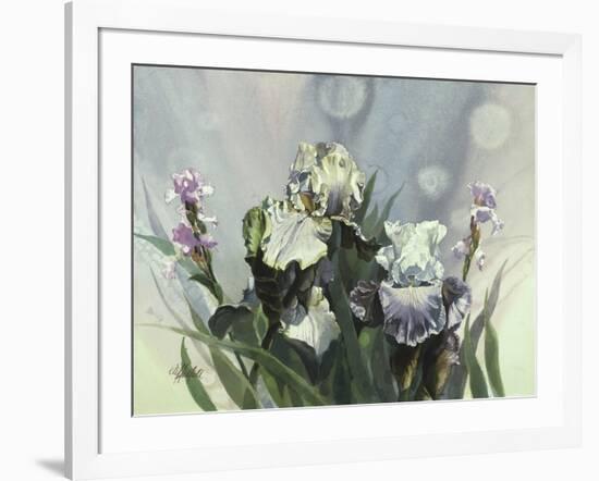 Hadfield Irises III-Clif Hadfield-Framed Art Print