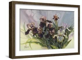 Hadfield Irises IV-Clif Hadfield-Framed Art Print