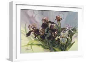 Hadfield Irises IV-Clif Hadfield-Framed Art Print