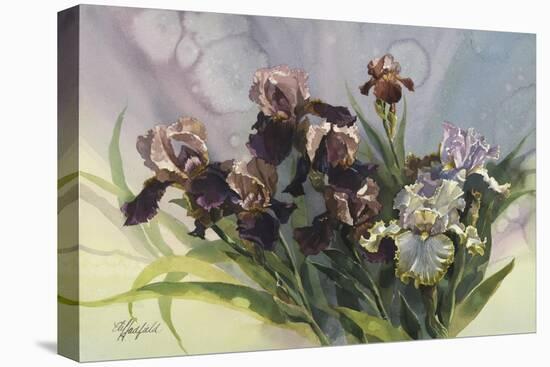 Hadfield Irises IV-Clif Hadfield-Stretched Canvas