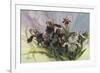 Hadfield Irises IV-Clif Hadfield-Framed Premium Giclee Print