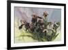 Hadfield Irises IV-Clif Hadfield-Framed Premium Giclee Print